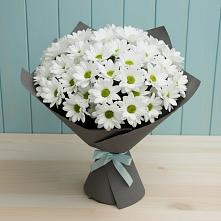 Букет цветов из:  Хризантемы в Большое Мурашкино