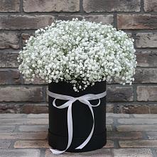 Цветочная композиция из Гипсофила в шляпной коробке #REPLACE_PRED# Большое Мурашкино